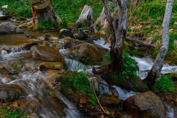 small waterfall in the forest