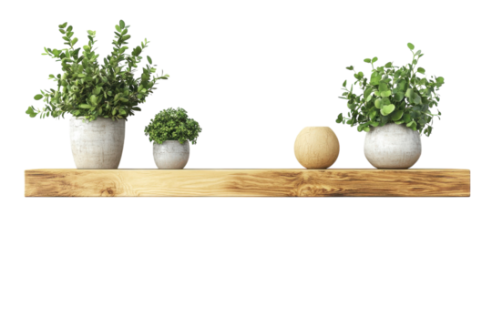 Cultivating serenity potted green plants grace a rustic wooden shelf bringing an organic and on transparent background