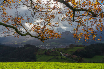 Otoño a contraluz sobre Durango