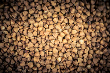 Buchweizen Fagopyrum esculentum auf Olivenholz