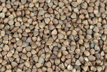 Buchweizen Fagopyrum esculentum auf Olivenholz