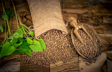 Buchweizen Fagopyrum esculentum auf Olivenholz