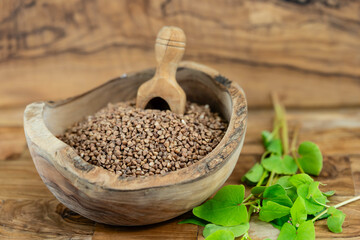 Buchweizen Fagopyrum esculentum auf Olivenholz