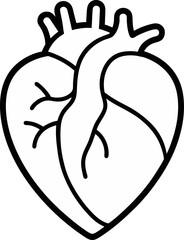 human heart vector outline icon on white or transparent background
