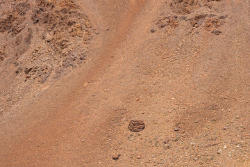 red desert