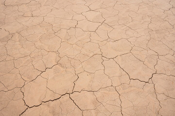 dry cracked earth
