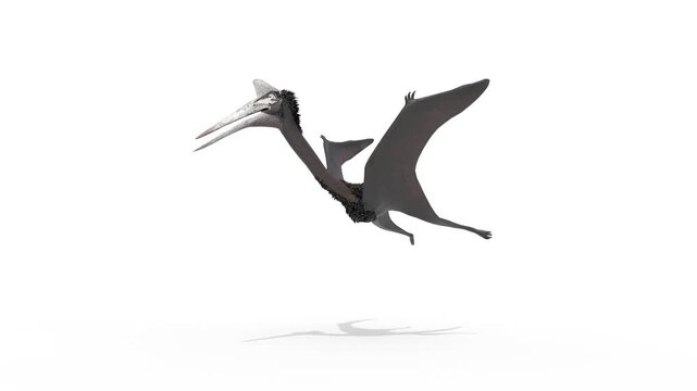 dinosaur flying