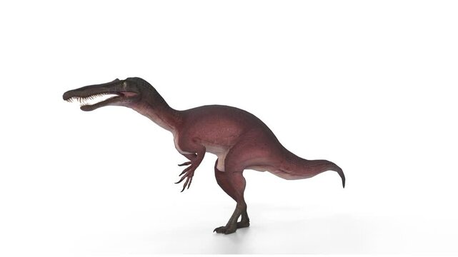 suchomimus dinosaur 3d animation