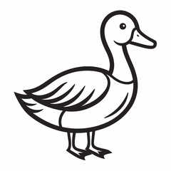 Simple Line Drawing of a Duck Bird Illustration