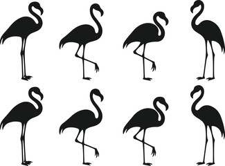 Elegant flamingo silhouettes a collection of bird graphics