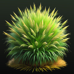 Lush Green Ornamental Grass Plant with Feathery Spikes
