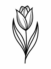 Simple Line Drawing of a Single Tulip Flower