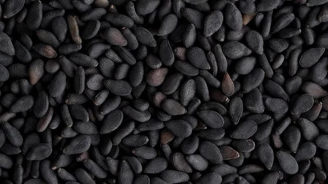 Macro video of black sesame seeds kept on rotating disk. Close up of black sesame seeds.