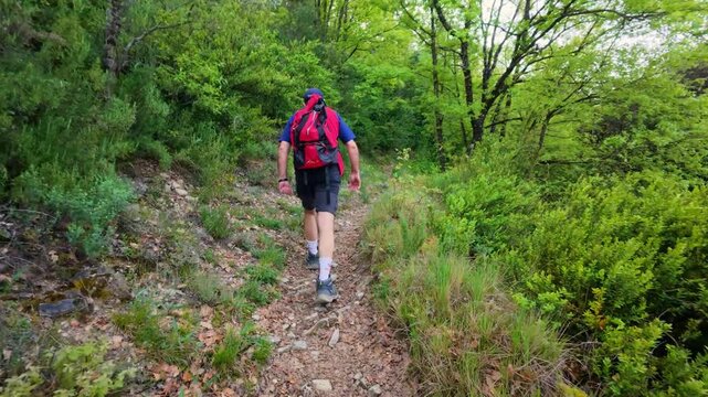 Hiker with backpack walking along narrow trail surrounded by green forest towards Chorros de Fornos, Badain, Ainsa, Pyrenees, spring trekking route captured in motion in 4K quality.