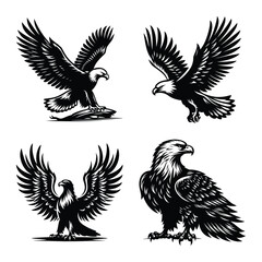 Eagle bird set bundle vector silhouette illustration isolated on a white background