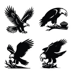 Eagle bird set bundle vector silhouette illustration isolated on a white background
