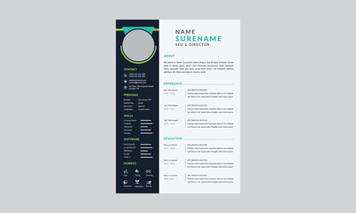 Corporate and professional resume curriculum template design
