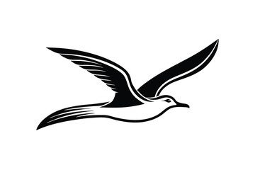 Obraz premium Majestic seagull silhouette in flight soaring gracefully