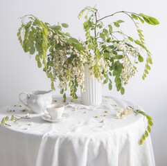 vintage still life in light tones with blooming acacia