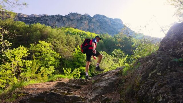 Trekking on mountain trail with sunlight filtering through trees in the Fornos forest, Aragon Pyrenees, outdoor hike captured with backlight effect in 4K UHD
