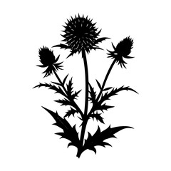 Thistle Silhouette vector illustration