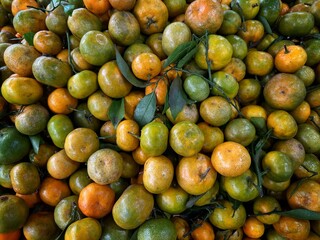 fresh fruit in the market