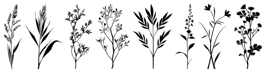 PNG Botanical silhouettes showcasing nature, element set on transparent background