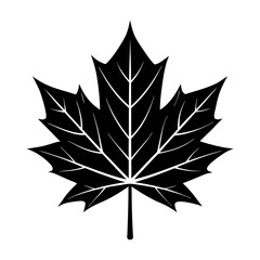 Maple Leaf Silhouette vector illustration