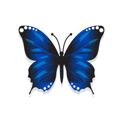 butterfly vector with blue gradient color
