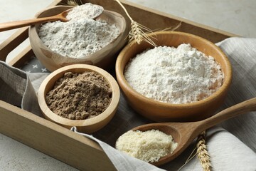 Different types of flour on light grey table, closeup