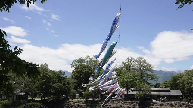 安曇野大王わさび農場