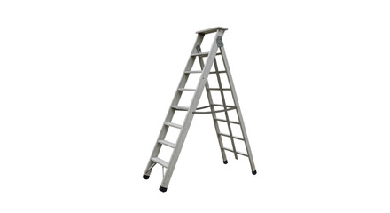 Isolated Aluminum Ladder