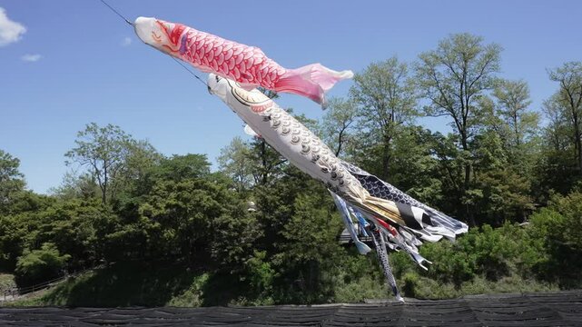 安曇野大王わさび農場