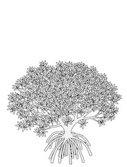 Trees_Axonometric view 