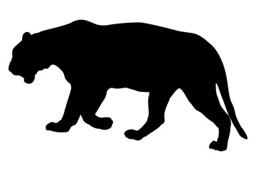Silhouette of a black panther walking with its mouth open on a white background