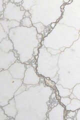 Obraz premium Elegant marble texture background with subtle veining, ideal for luxury branding and design projects Perfect for adding a sophisticated touch to your visuals , light, grey