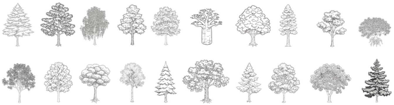 Trees_Axonometric view 