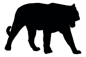 Black silhouette of a powerful tiger walking with its mouth open