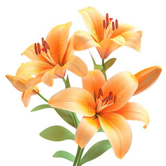 Obraz premium Orange lilies bouquet on transparent background
