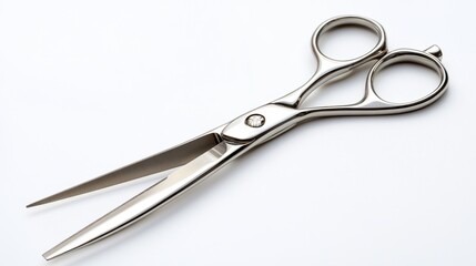 Obraz premium High-Quality Stainless Steel Scissors for Pet Grooming Tasks