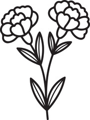 Black Line Floral Design with Two Flowers and Leaves on Transparent Background