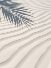 sand dunes on the beach