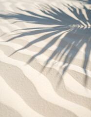 sand dunes on the beach