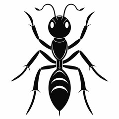Ant vector and black design and white background