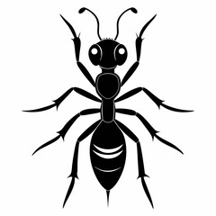 Ant vector and black design and white background