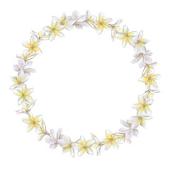 Round frame, wreath of white plumeria flowers. Isolated watercolor illustration for wedding print design, tableware, textile printing, interior design