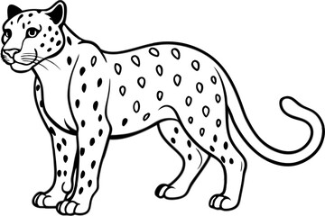 White Snow Leopard Line Art