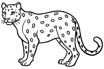 White Snow Leopard Line Art