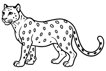White Snow Leopard Line Art