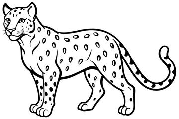 White Snow Leopard Line Art